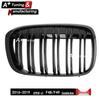Double-Line Carbon Fiber Front Grille for BMW X1 F48/49 (2016-2019)