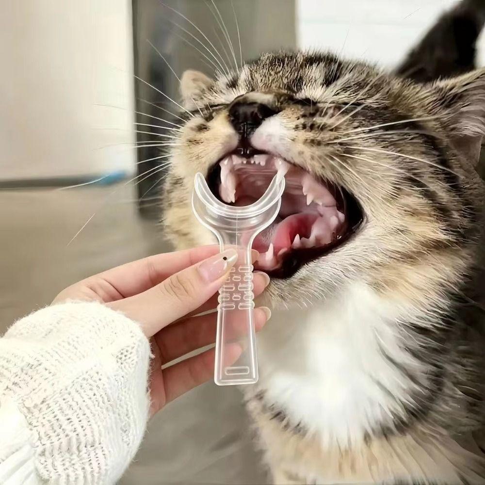3/4Pcs Convenient Pet Oral Care Reusable Pet Tooth Brushing Helper Teeth Cleaning Tools Puppies