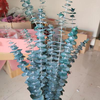 Blue Eucalyptus Leaves Preserved Natural Dried Eucalyptus Flower Arrangement Home Decoration Mariage Bouquet DIY Epoxy Resin