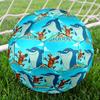 Zig & sharko Theme Size 5 Soccer Ball, Suitable for Both Indoor and Outdoor Matches, a Gift Suitable for Everyone.