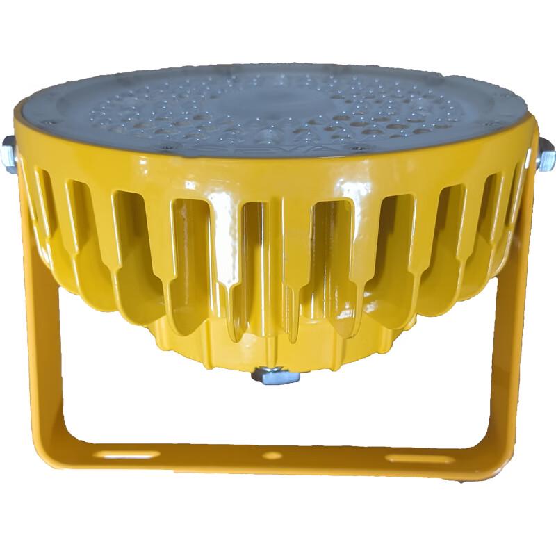 SEVA Explosion-Proof LED Work Light