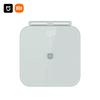 Xiaomi Mijia Intelligente Körperfettwaage S800 (CN-Version)