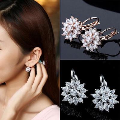 Women's Luxury Zircon Stone Flower Pattern Ear Studs Earrings Jewelry Gift ARI