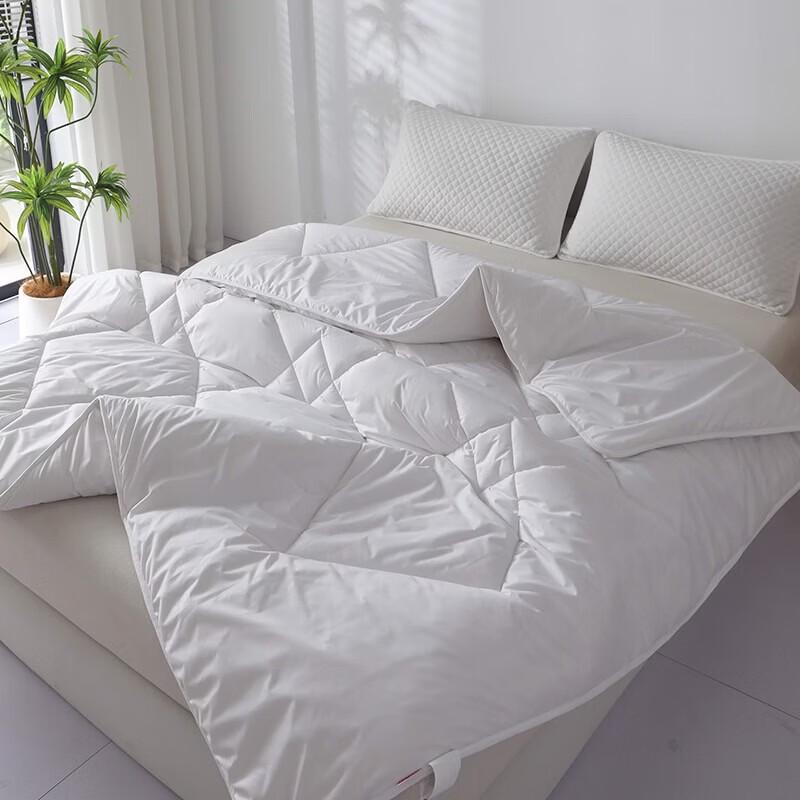 MINISO Bordeaux Washable Winter Duvet