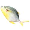 Simulation Sea Fish Plush Toy Saury Salmon Throw Pillow Doll Golden Gun Bream Grouper Cushion Doll