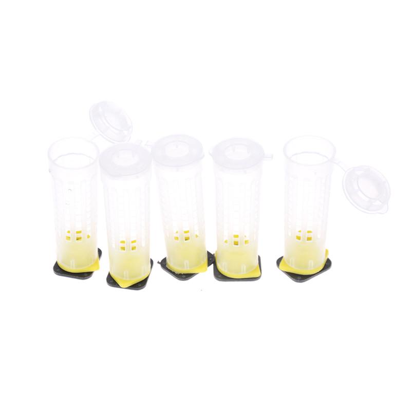 10Pcs Beekeeper Equipment Tool Beekeeping Rearing Cup Kit Queen Bee Cages
