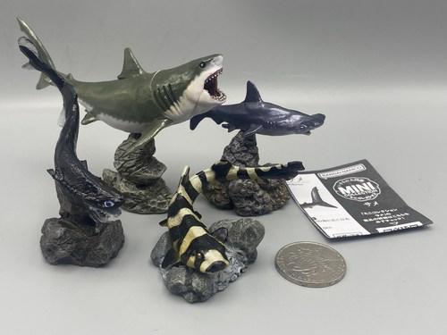 GACHA Ecological Atlas FIGURE MINI Shark Hammerhead Shark Hammerhead Shark Deep-Sea Creatures ACTION Figure Model Toys