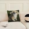 Cute Fox cushion cover Pillow Cover Decoration Room Home Sofa living Office Car Nordic Simplicity