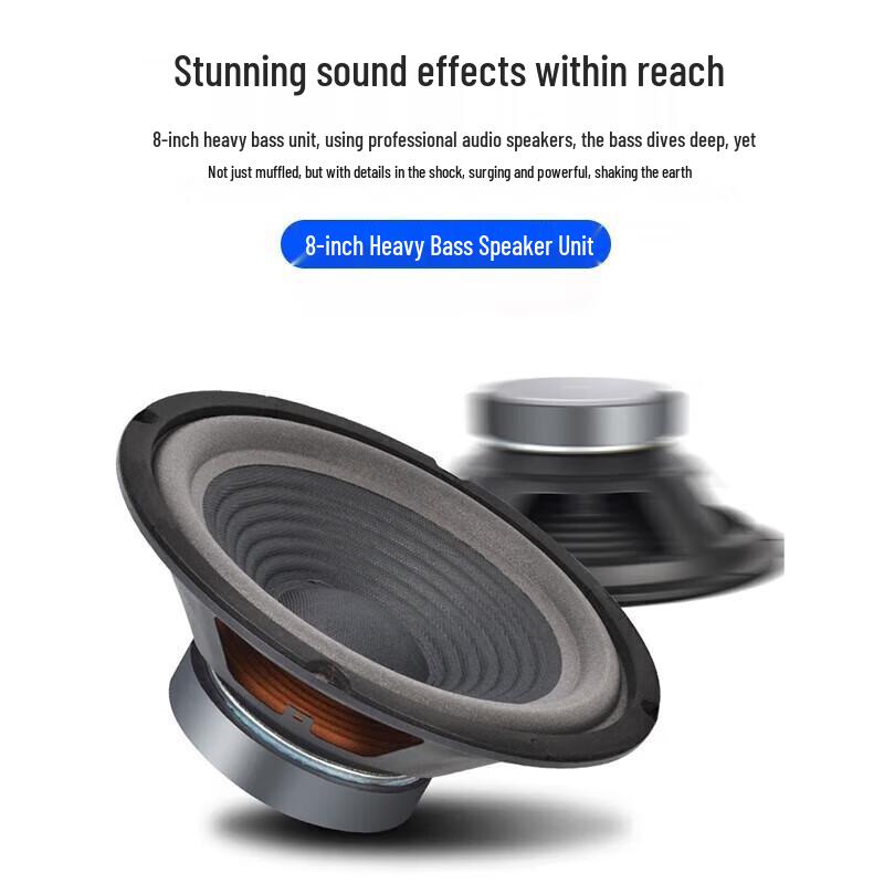 SAST 8-inch Conference Room & KTV Audio System