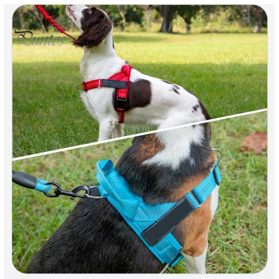 Heavy Duty Nylon Harness for Medium Dogs No Pull Dog Harness, Adjustable Vest with Handle, Breathable Durable Metal D-ring Pet Padded Large Dogs, Safe