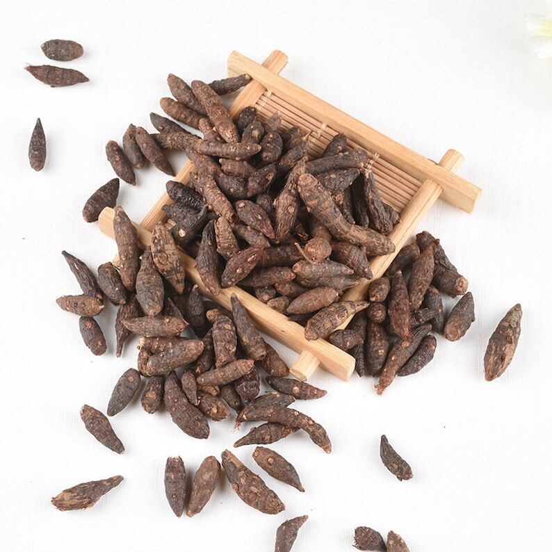 Dried Nut Grass Nutgrass Rhizoma Cyperi Rhizome Rhizoma Cyperi Xiang Fu Zi 500g