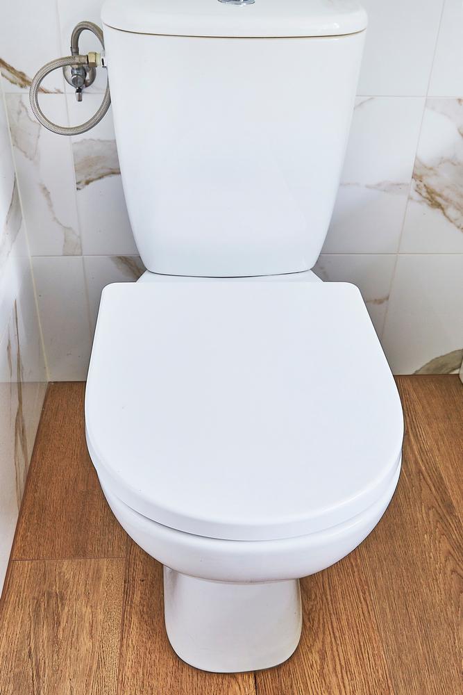 MEDELIN TOILET SEAT