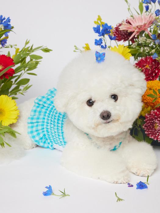 SALTYHEARTY Hello Crop Blouse New Check BLUE