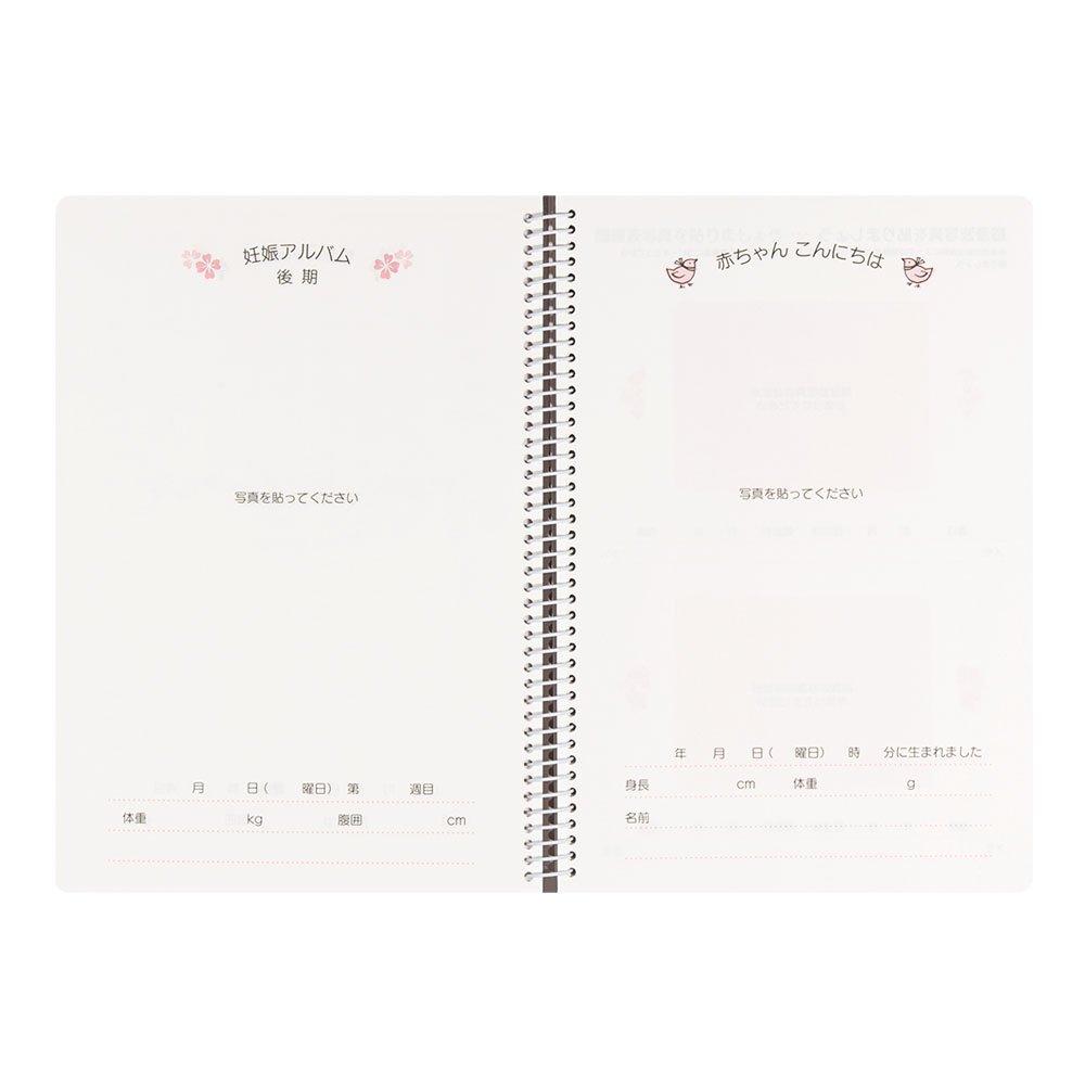 Midori Diary HF Diary A5 Birth Preparation 26006006