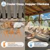 Chicken Coop Mister, 26FT Chicken Cooling System with 12 Brass Mist Nozzles, Filter, Cutter & 3/4" Adapter, Backyard Chicken Misters for Coop,