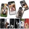 Phone Cover Dog Lovely France Bulldog Casing for Xiaomi Redmi Note 15 11 9 10 Pro Plus A5 9A 9T 10A 10C 9C NFC 15C 8T Case