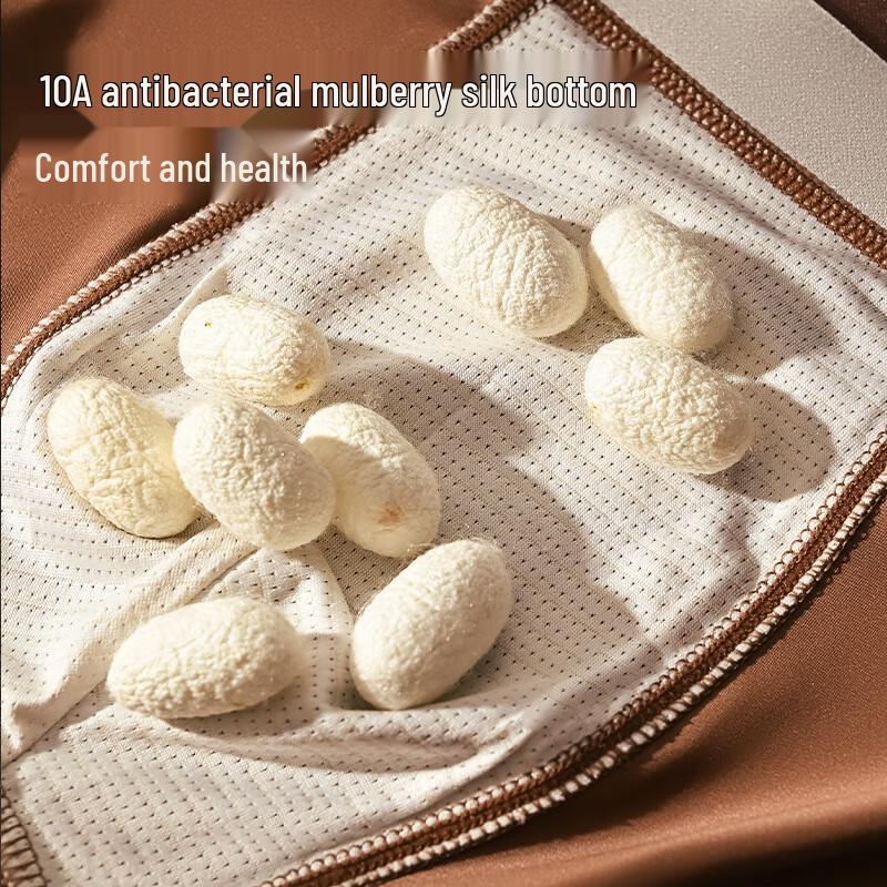 Qinite Men's Ice Silk Boxer Briefs 5-Pack