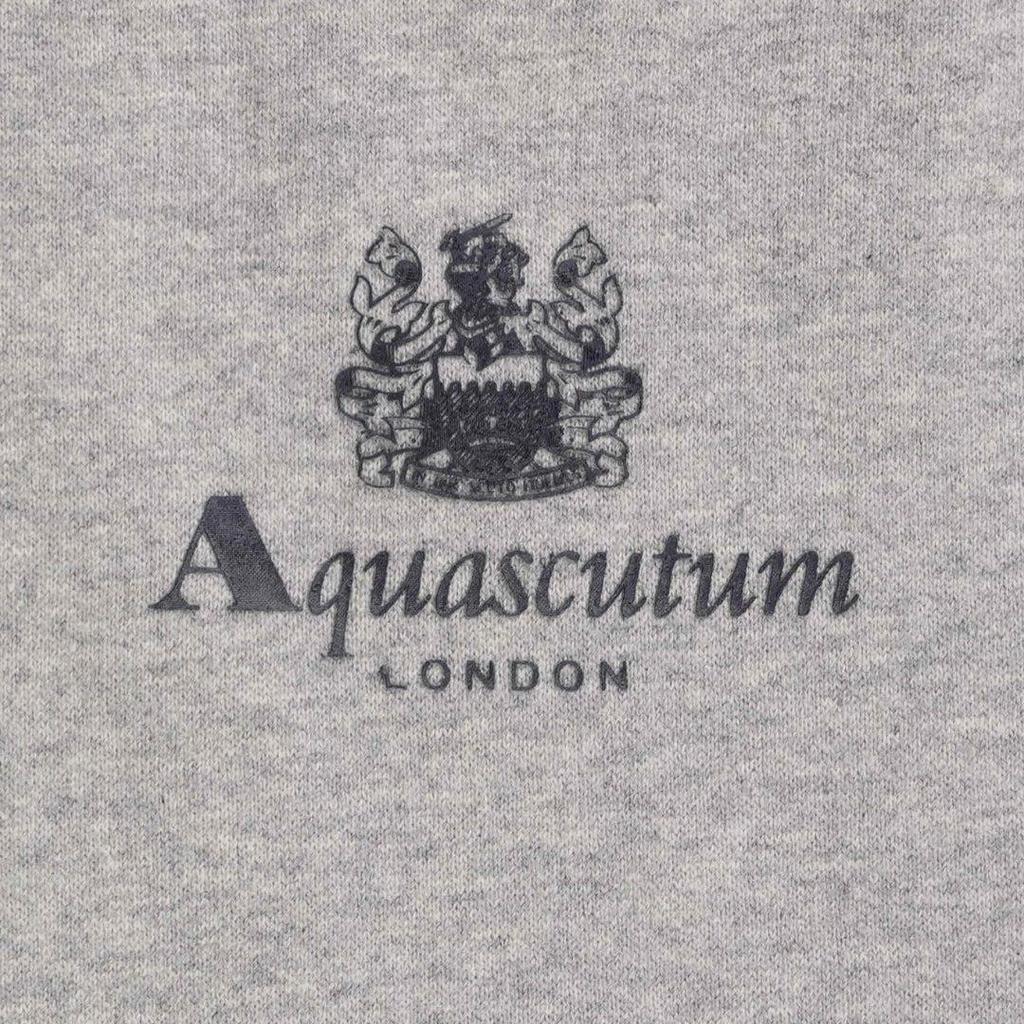 Aquascutum Mens Active Small Logo Hoodie
