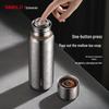 SIMELO Impression Kyoto Pure Titanium 500ml Insulated Mug