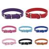 Light Plate Dog Collar Alloy Tube Buckle Dog Chain