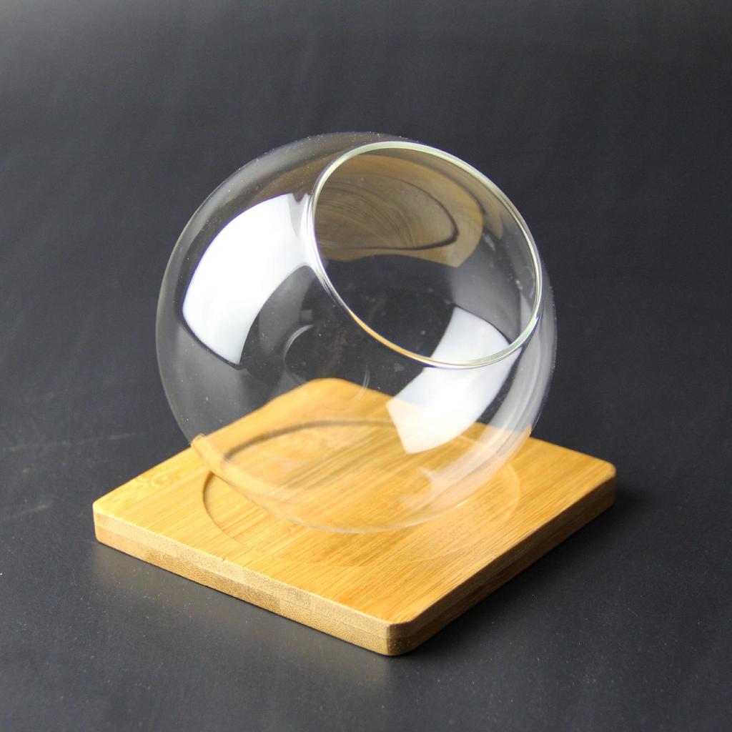 Spherical Glass Eco-Bottle: Succulent & Moss Terrarium Vase