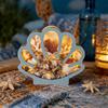 Dust-proof Seashell Display Box Wooden Shell Storage Box Display Organizer Box  Decorative Storage