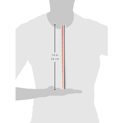 Shinwa Sokutei Triangular Scale for Land and House Surveyors, A-30, JIS Standard 30cm, 74950