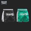 MMA Quick-Dry Fighting Shorts: Breathable Gear for Muay Thai, Kickboxing, Fitness & Running