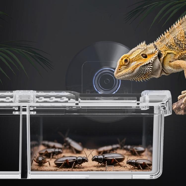 Suction Cup Reptiles Feeders, Reptiles Feeding Food Water Bowl Escape Proof Worms Dish Geckos Feeders Coloretto Bowl