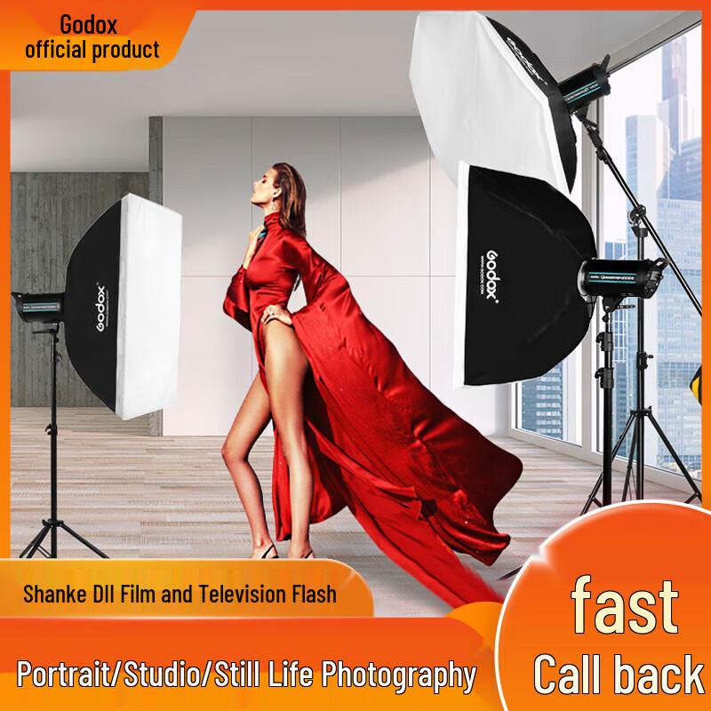 Godox DII 600W Studio Strobe Flash Kit