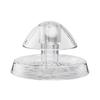Snail And Slug Catchers For Safe Snail Control In Gardens Snail Control for Gardens
