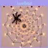 Usb Remote Spider Web Led Lights For Halloween Decor Spooky Ambiance Light String