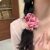 Accessori per capelli – Elastici per capelli
