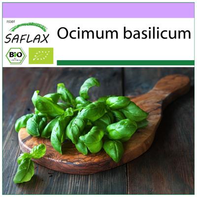 Biologico - Basilico Genovese - 800 semi - Ocimum basilicum