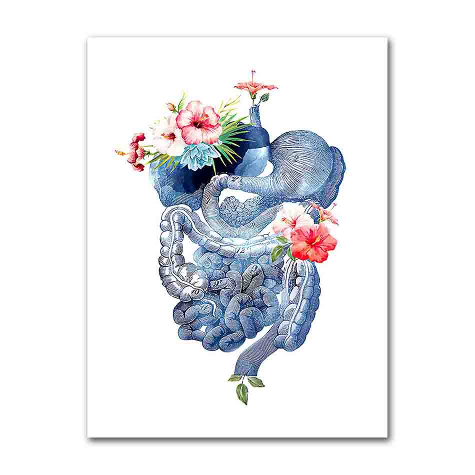 Flower Breast Uterus Kidney Liver Anatomy Wall Art Canvas Painting Nordic Posters And Prints Wall Pictures For Doctors Office