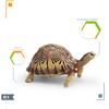 Children Simulated Turtle Model Static Solid Model Toy Animal Set Various Turtle Ornaments Radiated Tortoise Brazilian Slider
