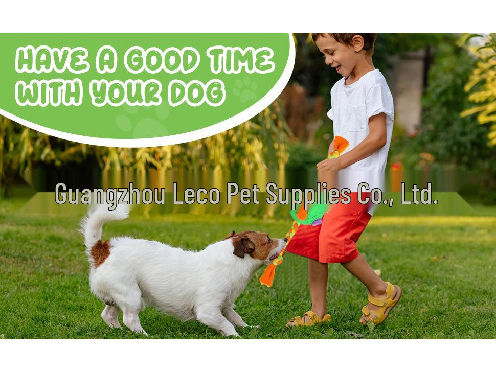 New Cross-Border Pet Toy: Puzzle Training Snuffle Ball for Dogs