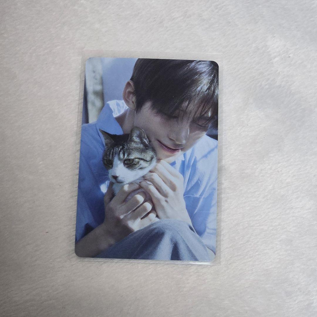 

[USED] TWS Jihoon Nice to meet you Pop-up Trading Card