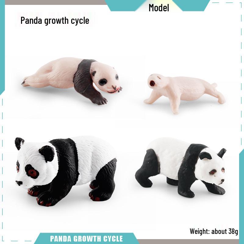 Animal Growth Cycle Models: Chicken, Duck, Goose, Butterfly, Turtle, Frog Montessori Teaching Figurines