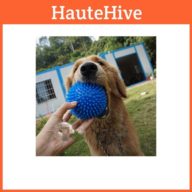 Odolná špičatá míčková hračka z TPR pro psy 6 živých barev k dispozici