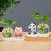 Calming Hydroponic Desktop Vase: Indoor Chinese Green Plant Ornament