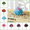 2pcs Colorful Fake Plant Plastics Artificial Flower Artistic Echeveria Chihuahuaensis  Home Decor