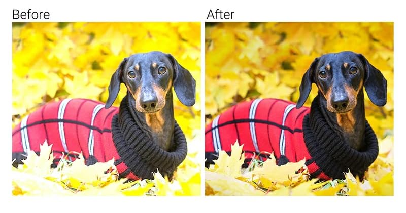 Concept Lens Mount Adapter Lens to Fujifilm K&F KF-NFX.IV (Nikon F-Mount X-Mount)