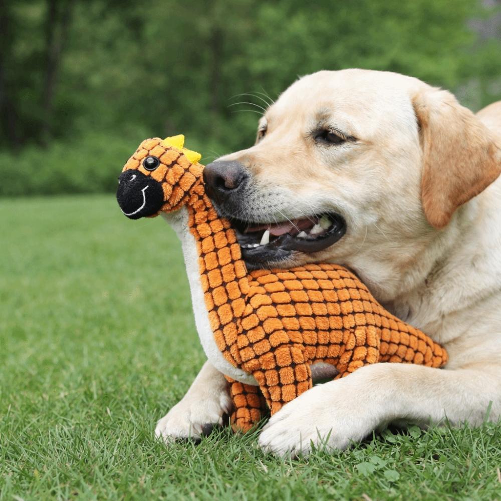 Dinosaur Shape Dog Chew Toys Bite-Resistant Puppy Molar Toy Dog Interactive Toys  Relieve Boredom