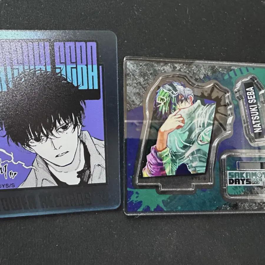 

Акриловая башня Seba Natsuki Tower Record Badge для продажи