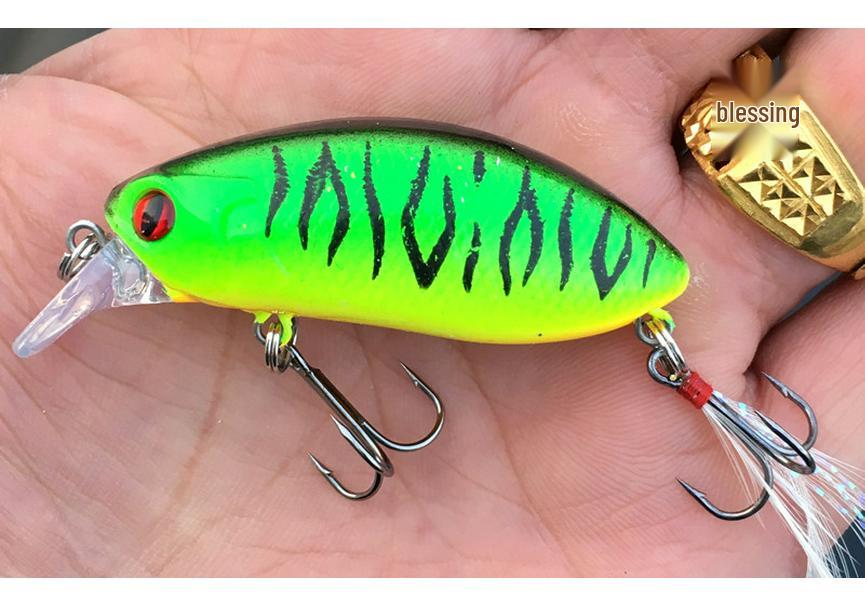 Little Devil Bionic Minnow Lure, 6cm/10g Bass Fishing Tackle 6cm 10g Black Hook