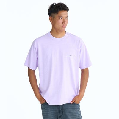 QUIKSILVER Pg Upside Down Vintage Washed Short Sleeve T-Shirt (Qg21St803Pur)