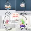 Lunari Hanging Stand, Interior Hanging Hook Stand, Display Stand, Black, Aquarium/Terrarium Hanger