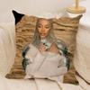Singer DDoja CCat Cushion Cover Silky Short Plush DoubleSided Printed Pillow Case for Sofa All Seasons Home Decor Gift