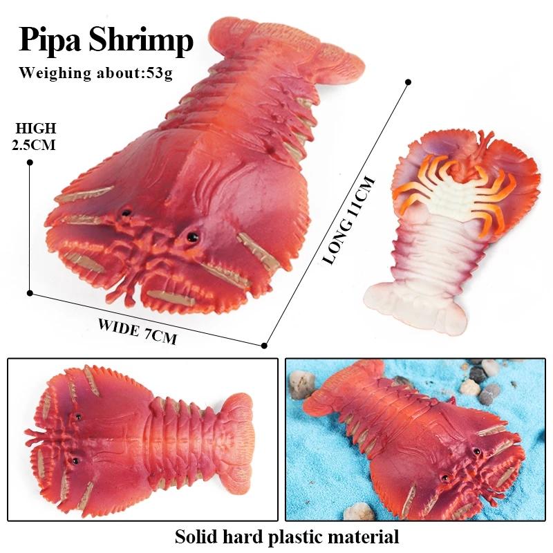 Oenux Ocean Starfish Sea Anemone Coral Jellyfish Squid Shrimp Crab Shark Animals Model Action Figures PVC Miniature Kid Toy Gift
